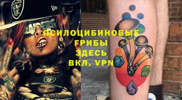 спайс Каменногорск