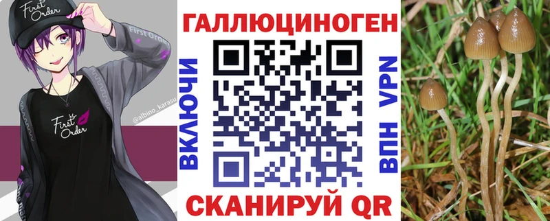 Галлюциногенные грибы прущие грибы  Купить  Домодедово 