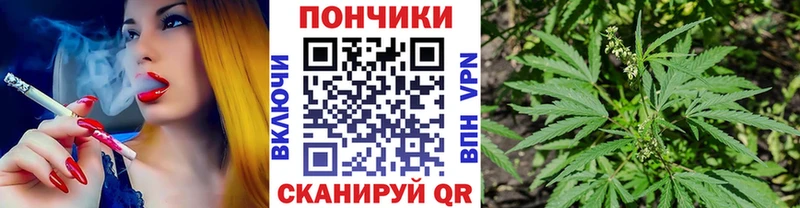 Купить где  Домодедово  Бошки марихуана Amnesia 